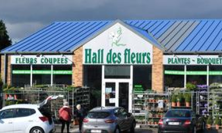 Fleuriste prospère avec une clientèle fidèle _ Awans