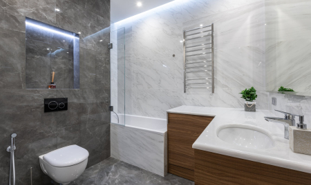 Société spécialisé dans la vente de produits sanitaire avec plateforme en ligne de renom et show room physique