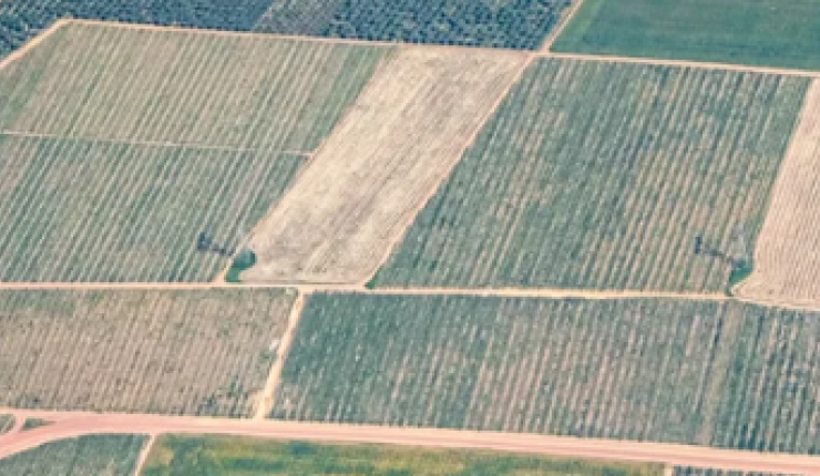La société « LAND&ESTATE » est une immobilière image