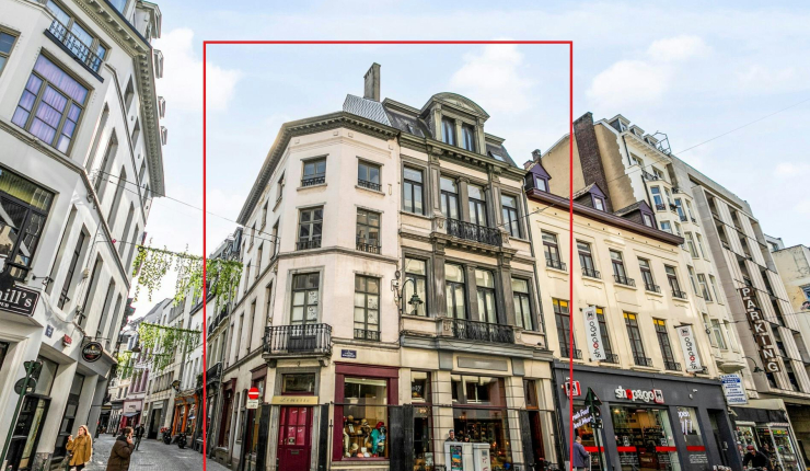 Société patrimoniale avec un immeuble de rapport et deux maisons de commerce image